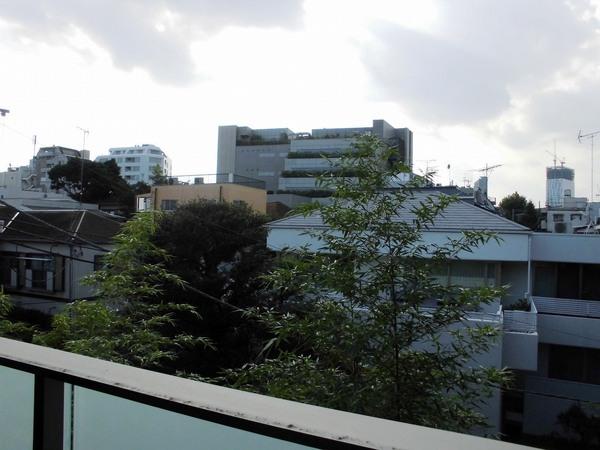 ザ・パークハウス広尾羽澤