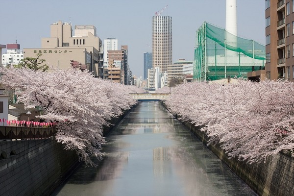 パークキューブ目黒タワー