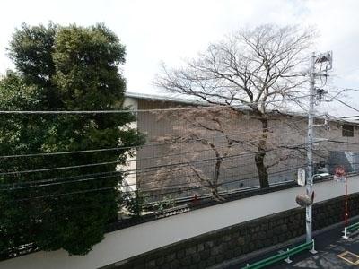 ミルーム南青山