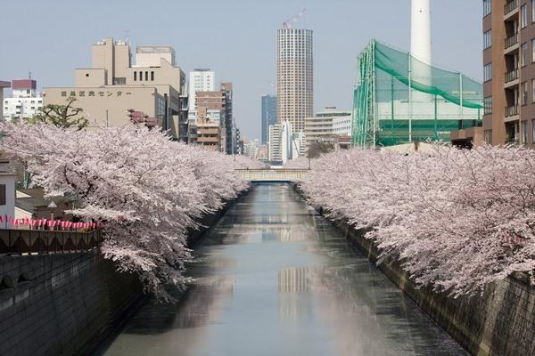 パークキューブ目黒タワー