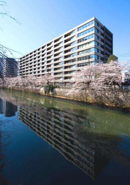 目黒区下目黒２丁目のマンション