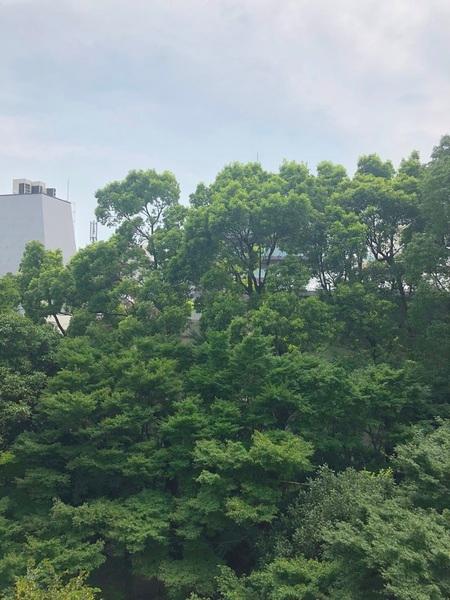 文京区小石川４丁目のマンション