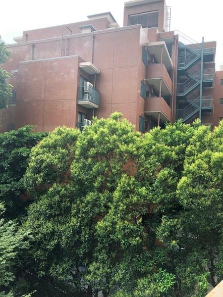 文京区小石川４丁目のマンション