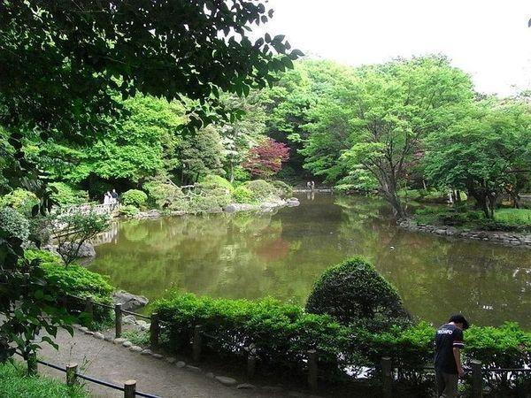 港区南麻布４丁目のマンション(有栖川宮記念公園)
