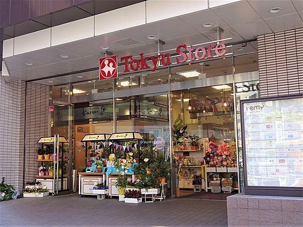 品川区東五反田１丁目のマンション