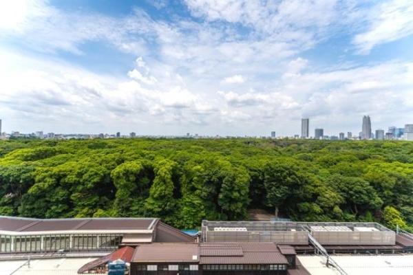 渋谷区神宮前１丁目のマンション