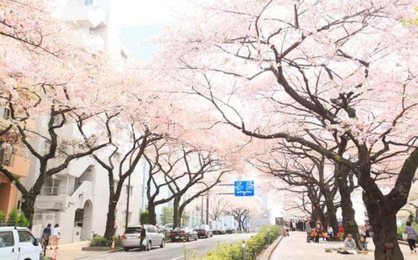 文京区小石川４丁目のマンション