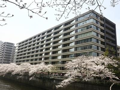 目黒区下目黒２丁目のマンション