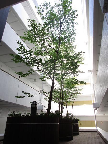 中央区月島１丁目のマンション
