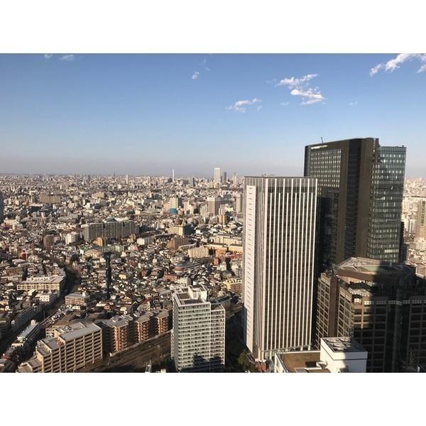 新宿区西新宿５丁目のマンション