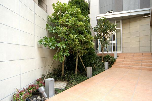 世田谷区三軒茶屋１丁目のマンション