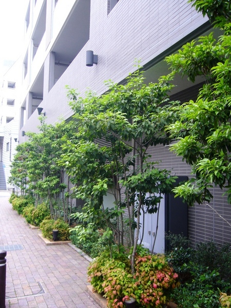 パークアクシス日本橋浜町