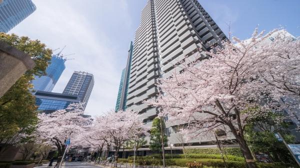 港区六本木1丁目のマンション