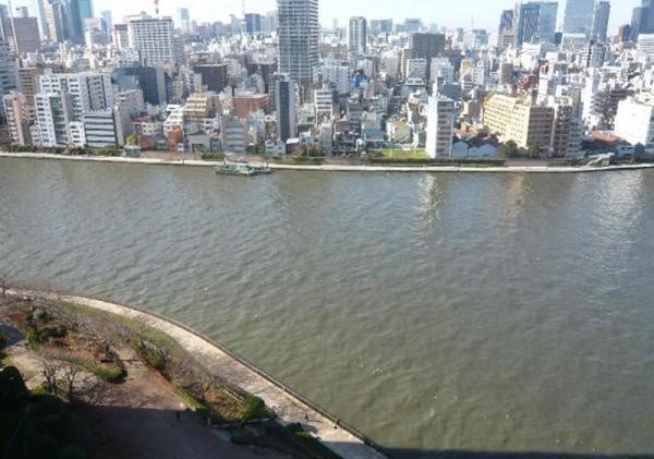 中央区佃１丁目のマンション