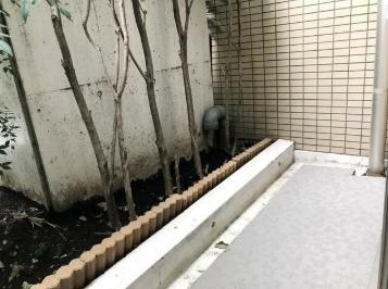 目黒区上目黒２丁目のマンション