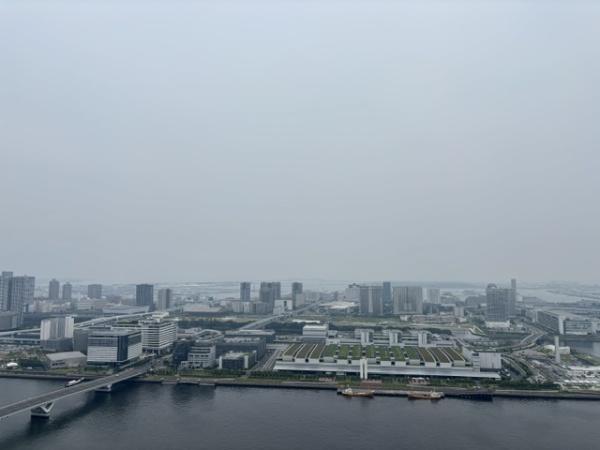HARUMIFLAGPARKT棟　晴海フラッグ