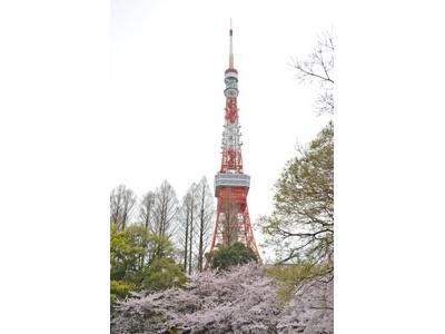 港区芝公園３丁目のマンション