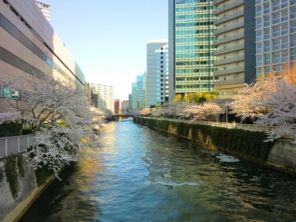 品川区大崎１丁目のマンション