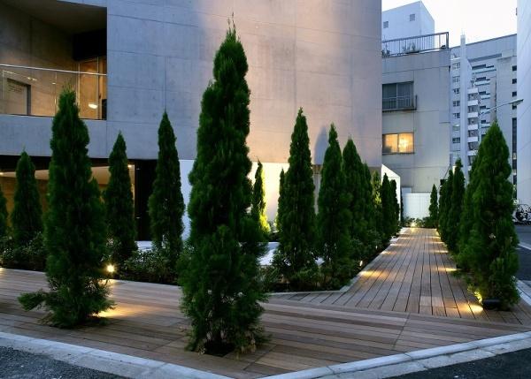 港区芝公園１丁目のマンション