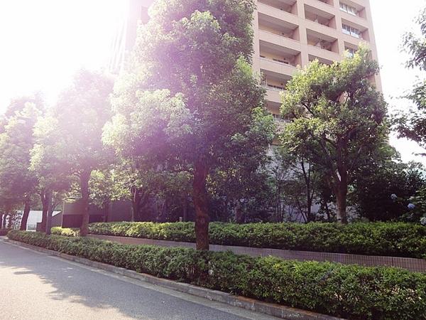 新宿区西早稲田１丁目のマンション