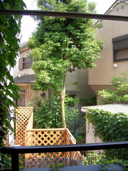 渋谷区広尾３丁目の貸家