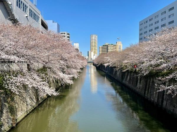 目黒区中目黒２丁目のマンション