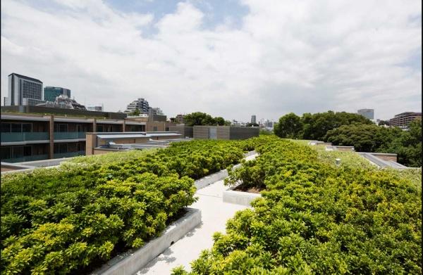 渋谷区広尾３丁目のマンション