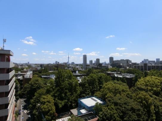文京区向丘１丁目のマンション