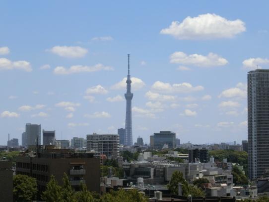 文京区向丘１丁目のマンション