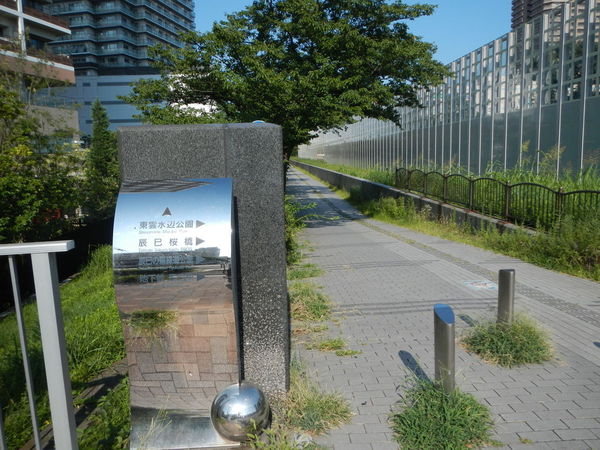 中央区佃１丁目のマンション(東雲緑道公園)