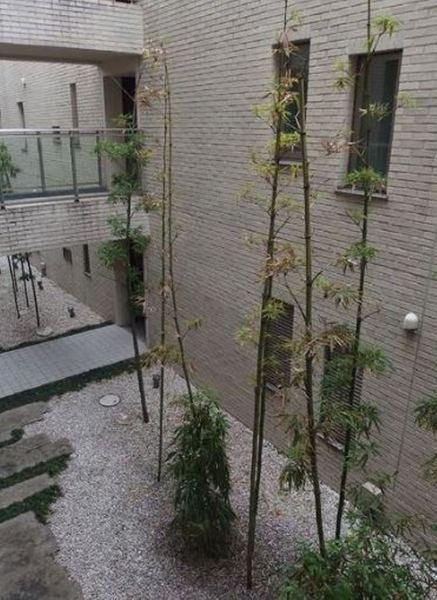 新宿区南元町のマンション