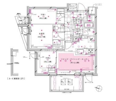 ピアース都立大学