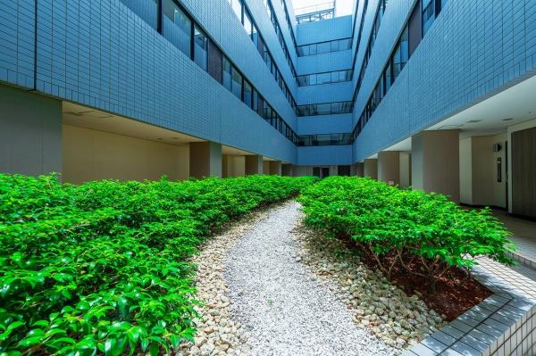 中央区築地６丁目のマンション