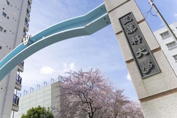 品川区小山１丁目のマンション(私立星薬科大学)