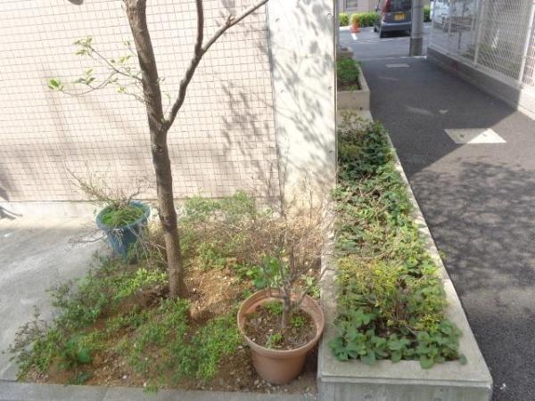 中央区明石町のマンション