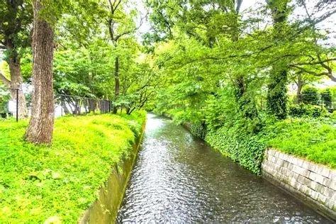 渋谷区大山町のマンション(玉川上水第二緑道)