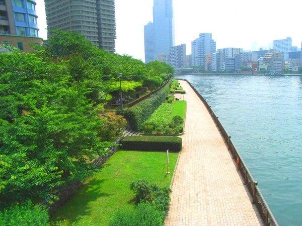 江東区佐賀１丁目のマンション