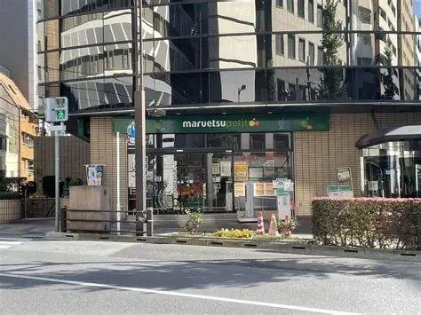 中央区新川２丁目のマンション(マルエツプチ新川一丁目店)