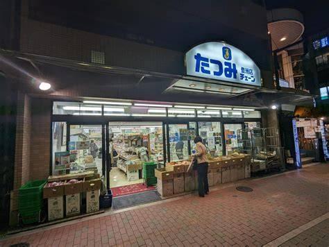 江東区豊洲３丁目のマンション(たつみチェーン豊洲店)