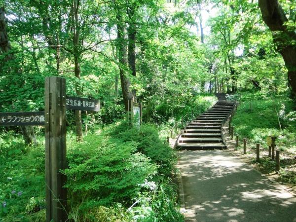 目黒区下目黒６丁目のマンション(林試の森公園)