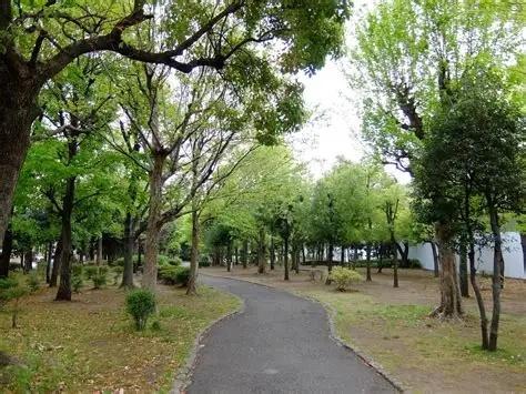 目黒区中目黒２丁目のマンション(目黒清掃工場緩衝緑地)