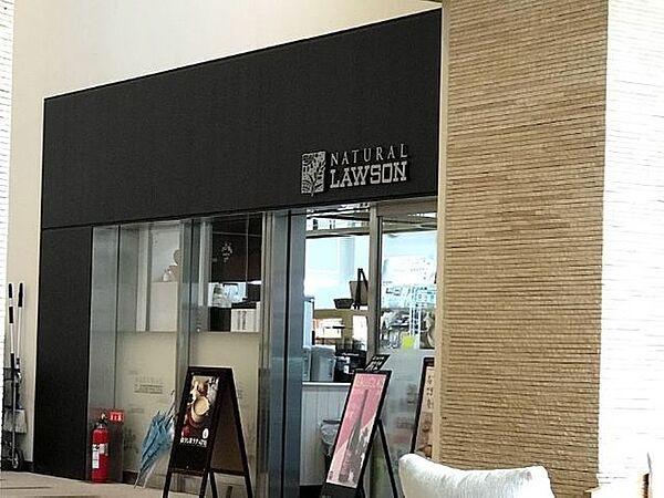 港区芝浦４丁目のマンション(ナチュラルローソン芝浦アイランドケープ店)