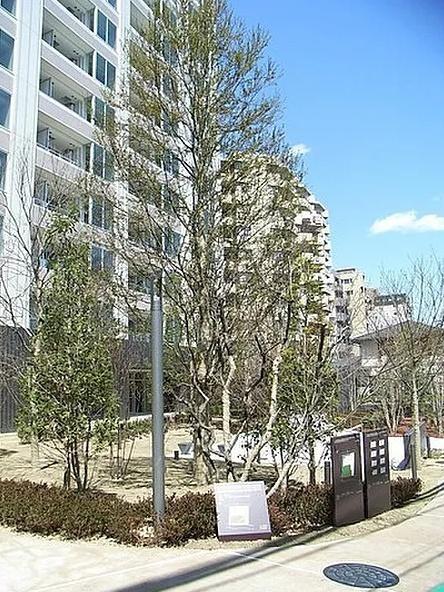 世田谷区上馬１丁目のマンション
