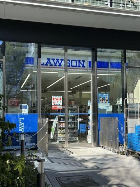 中野区中野４丁目のマンション(ローソン中野セントラルパークサウス店)