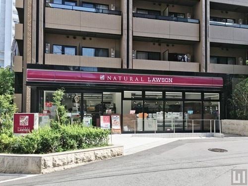 港区南麻布２丁目のマンション(ナチュラルローソン南麻布二丁目店)