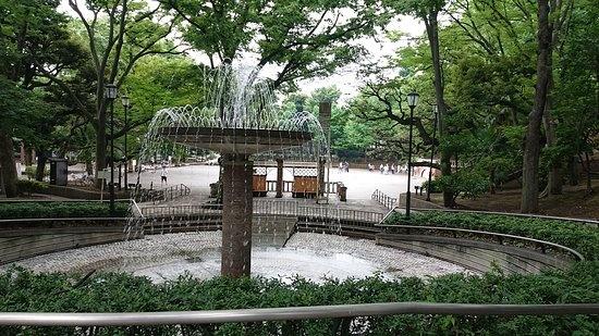 文京区大塚３丁目のマンション(大塚公園)