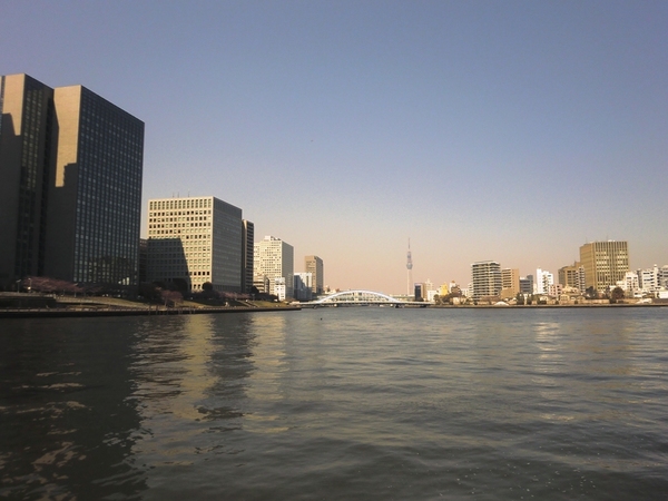 中央区佃１丁目のマンション
