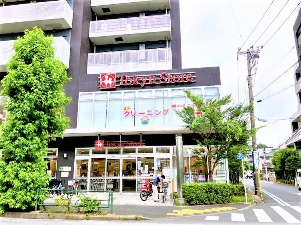 目黒区柿の木坂２丁目のマンション(東急ストア駒沢通り野沢店)