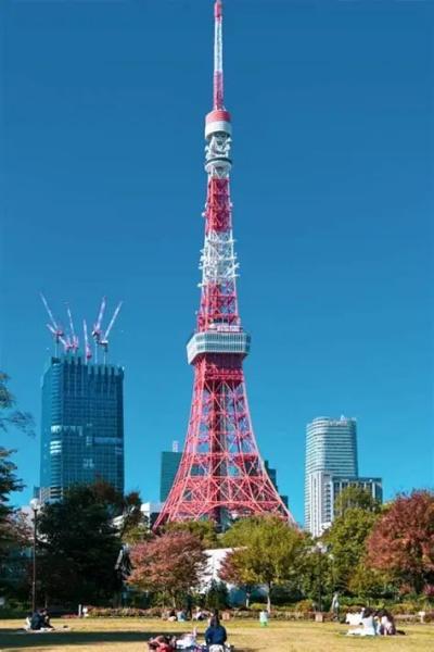 港区東麻布１丁目のマンション(東京タワー)