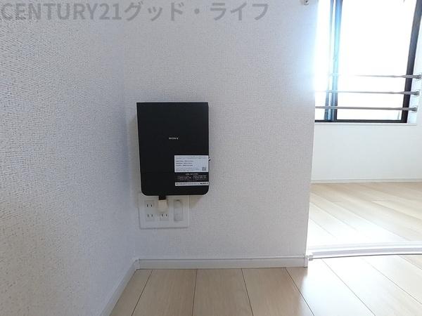 スターチス
